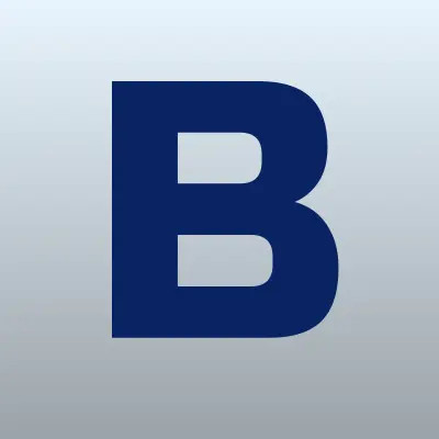 БИРЛиС, компания, лого-визитка