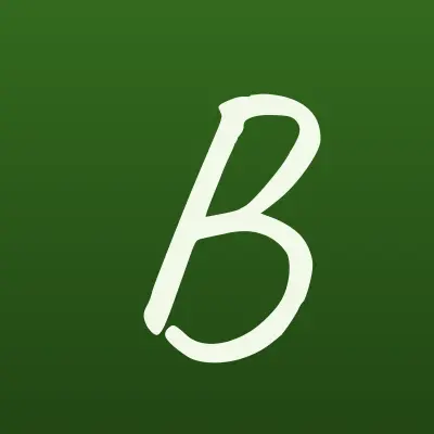 BetBoom, букмекерская контора, лого-визитка