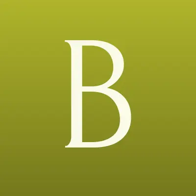 Бизнес Проект Компани, лого-визитка