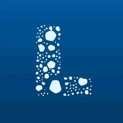 LEMISNN, магазин авточехлов, лого-визитка