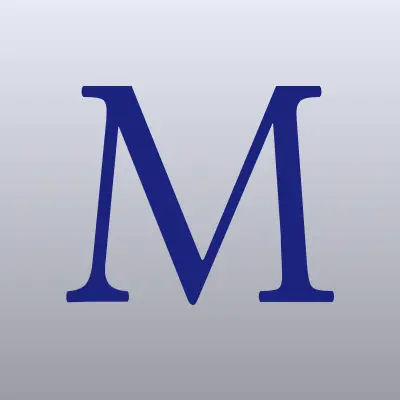 META-SEO, компания, лого-визитка