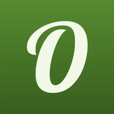 Orac Decor, интернет-магазин, лого-визитка