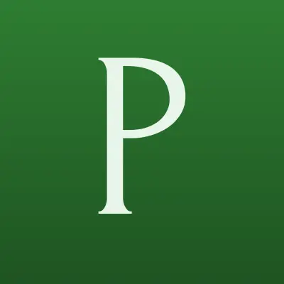 Pony Express, курьерско-визовая служба, лого-визитка