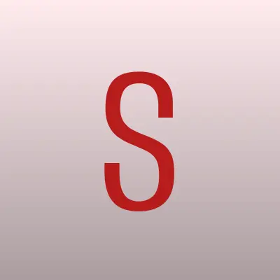 Системотехника-НН, научно-производственное предприятие, лого-визитка