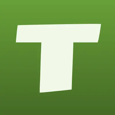 ТестСервис, компания, лого-визитка